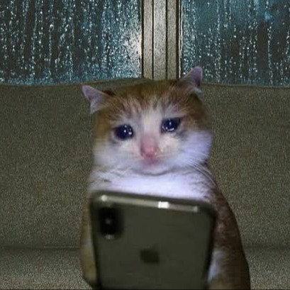 sadcat