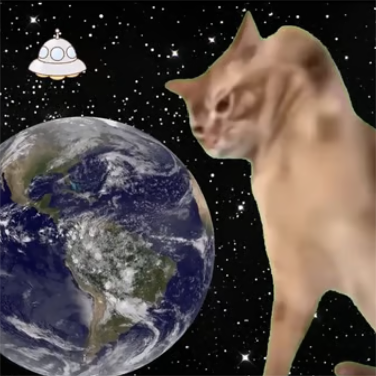 slapcat