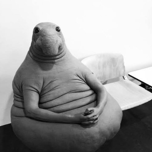 SNORP logo