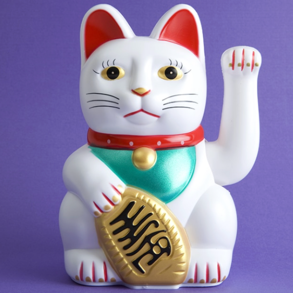 moneycat
