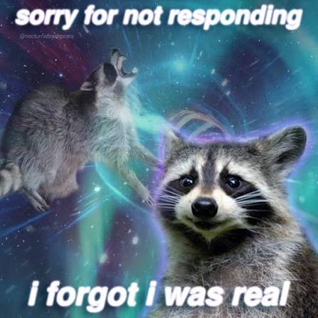 Raccoons logo