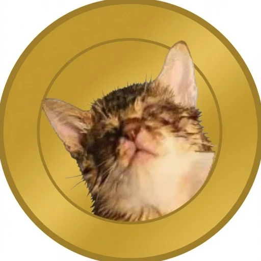 Koko logo