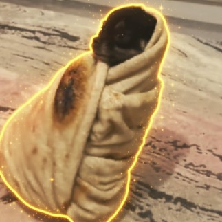 Perrito
