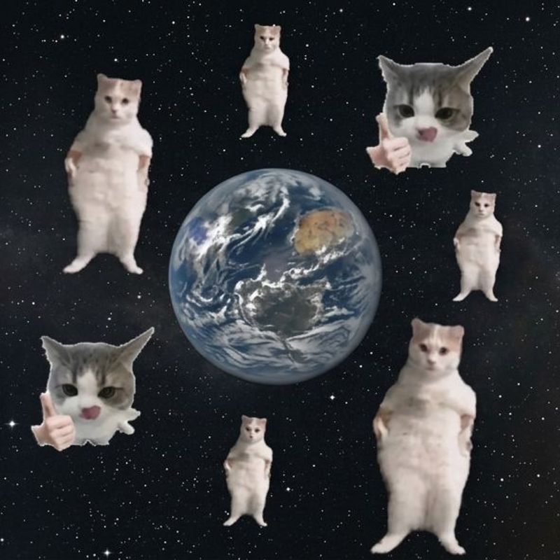 Catstronomy