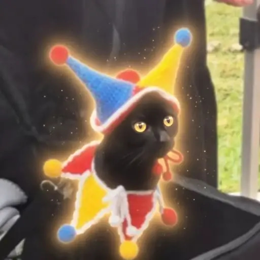 CLOWNCAT