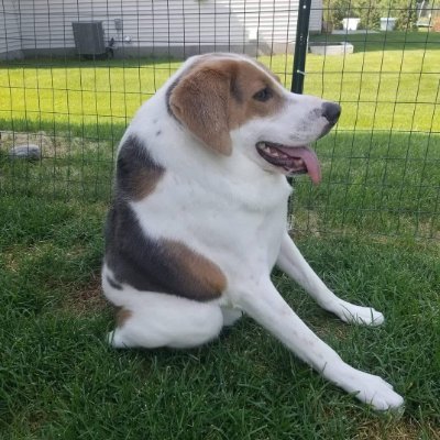 Cooper