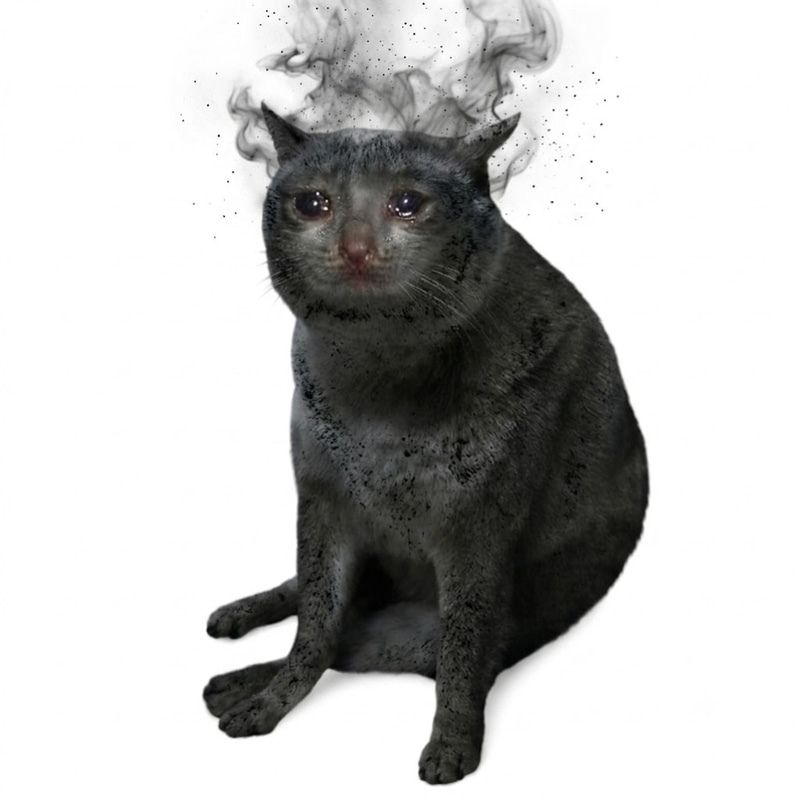 ASHCAT