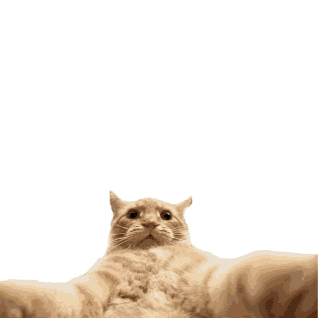 snapcat