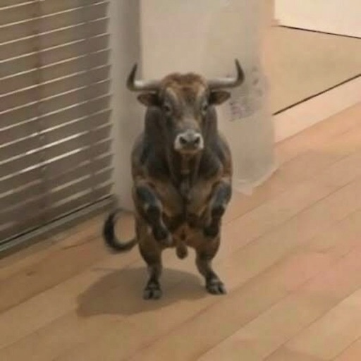 おうし