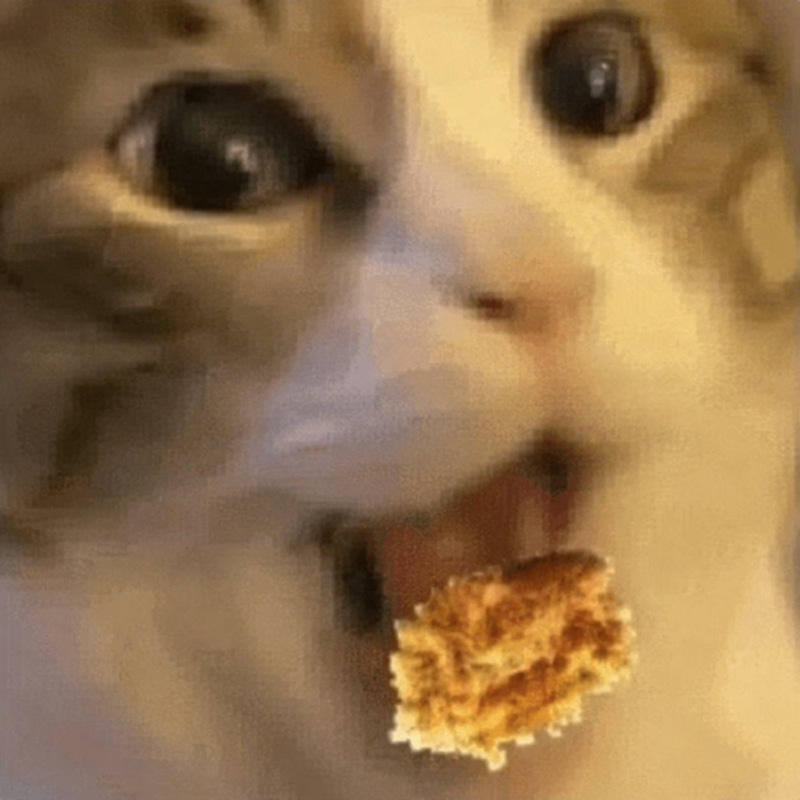Nomcat