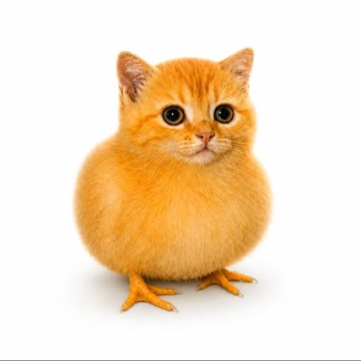 Cuck