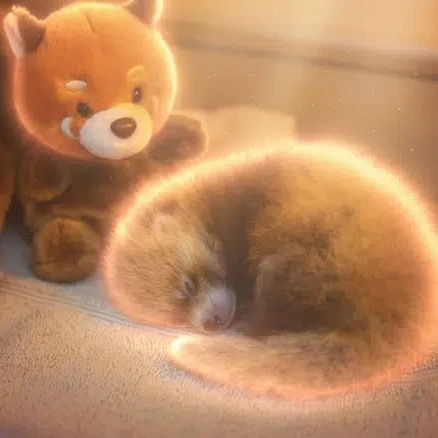 CUB