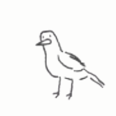 HONK