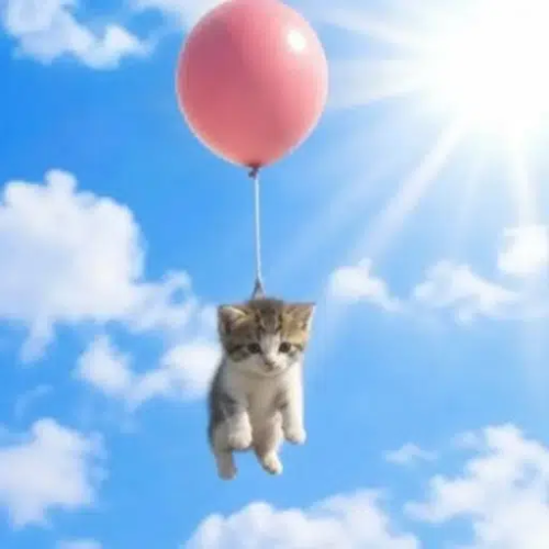 ily