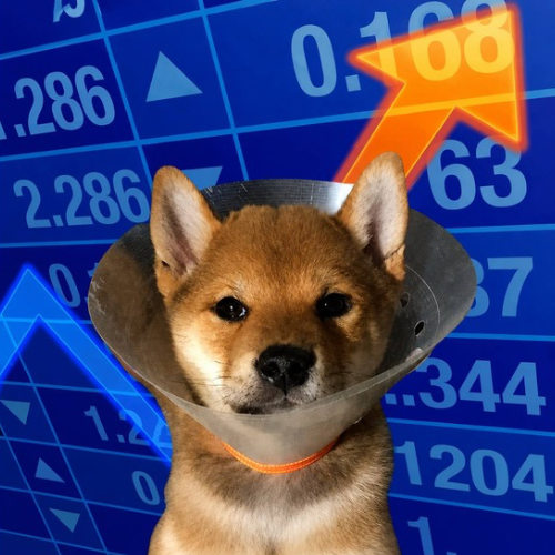 GOGO