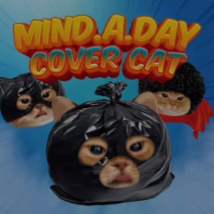 CoverCat