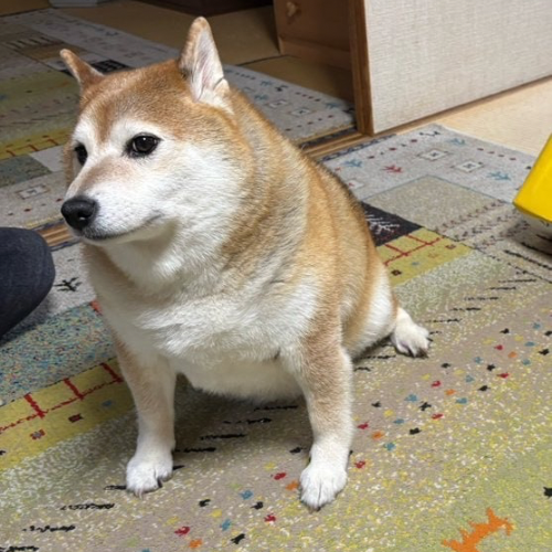 まんてん