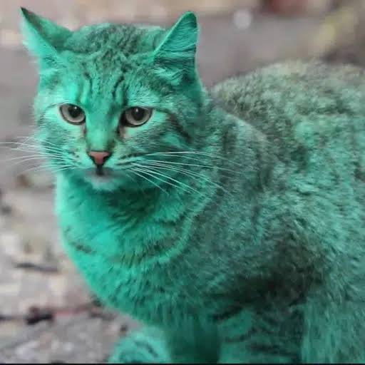 GreenCat