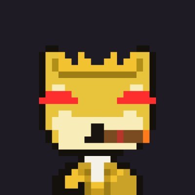 DOGEJONES