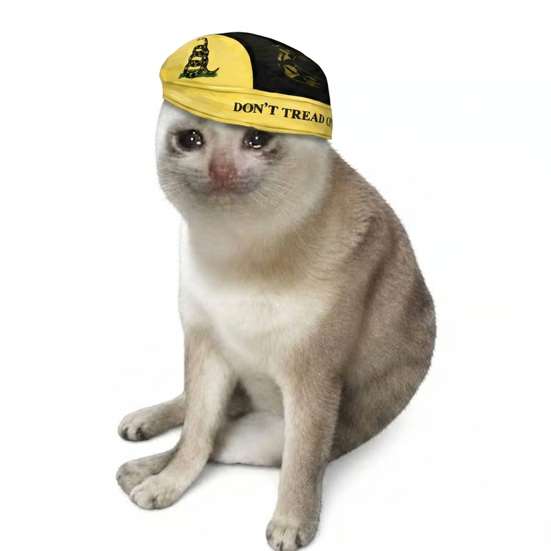 CeoPumpCat