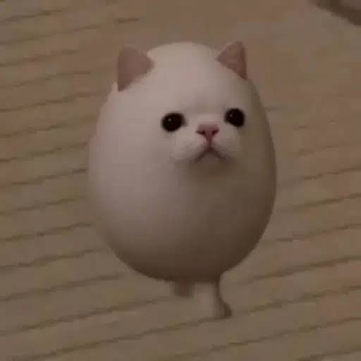 EGGCAT
