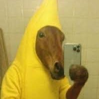 BHORSE