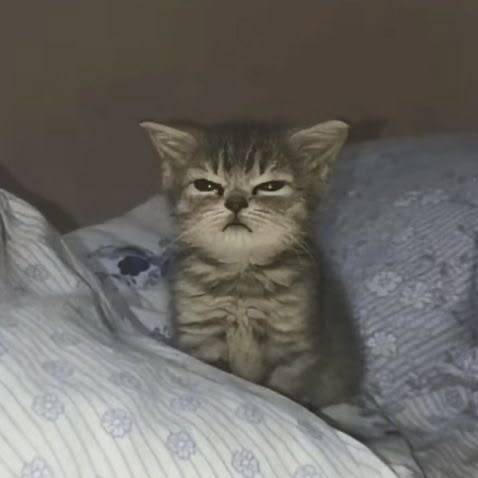 eepy