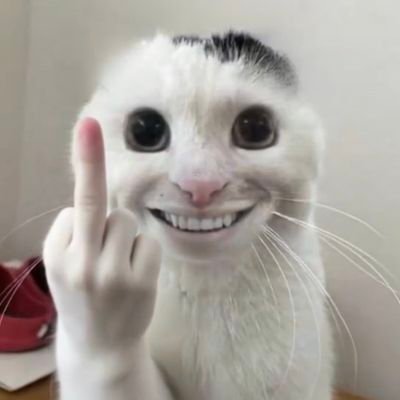 红尘飞